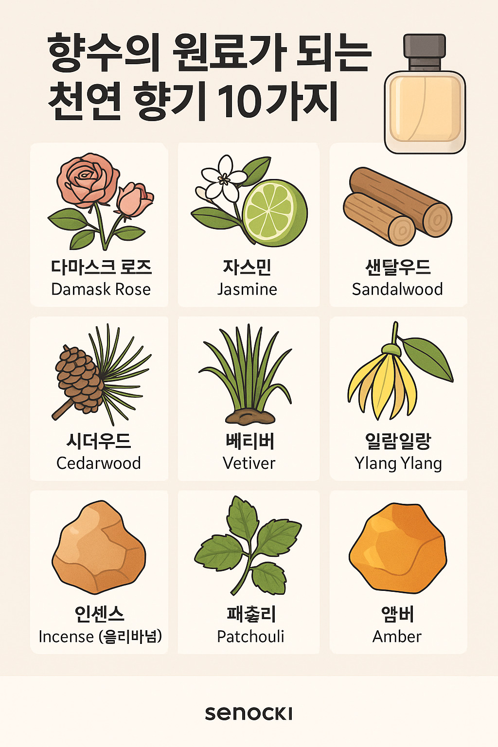 향수의 원료가 되는 천연 향기 10가지